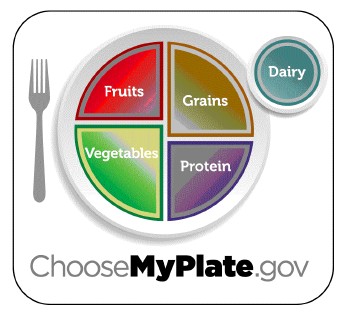 Plate/Food-Groups Graph from 
 <br> www.choosemyplate.gov